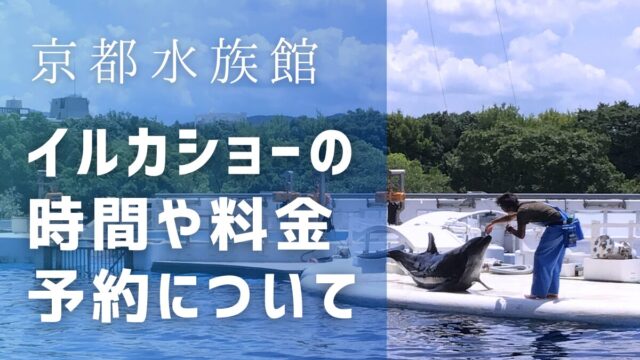 京都水族館のイルカショーの時間は？所要時間や料金・予約について解説