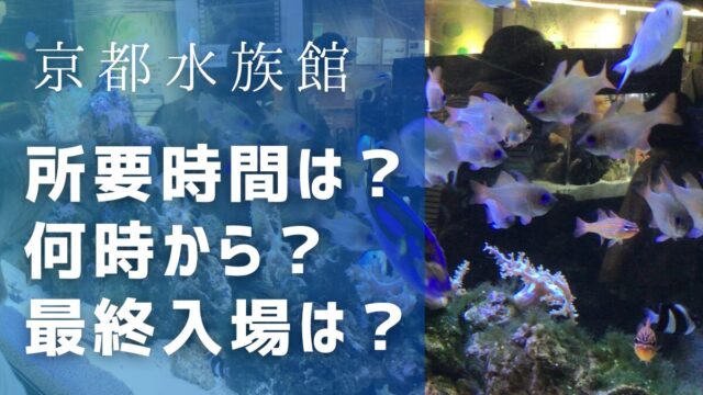 京都水族館の所要時間は？何時から入れる？最終入場はいつ？