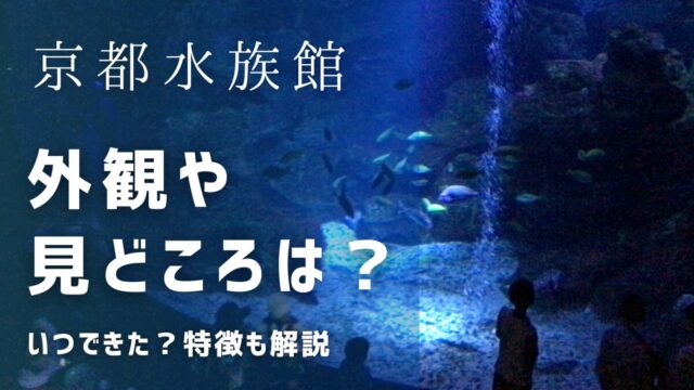 京都水族館の外観は？いつできた？特徴や見どころも解説！