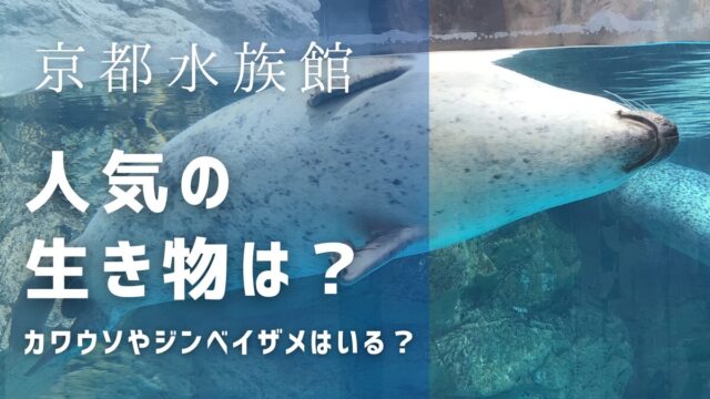 京都水族館にカワウソやジンベイザメはいる？人気の生き物も紹介！