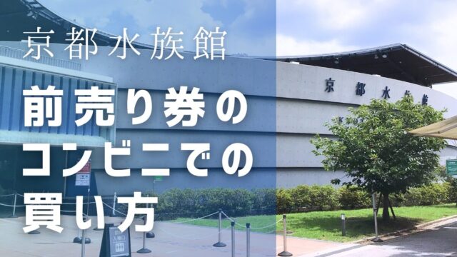 京都水族館の前売り券はコンビニで買える？チケットの買い方や値段は？