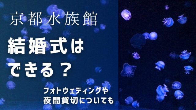 京都水族館で結婚式やフォトウェディングはできる？貸切料金は？