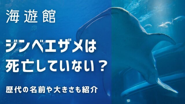 海遊館のジンベエザメは死亡して現在はいない？歴代の名前や大きさも紹介