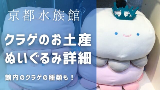 京都水族館お土産にクラゲある？ぬいぐるみや館内クラゲの種類を紹介