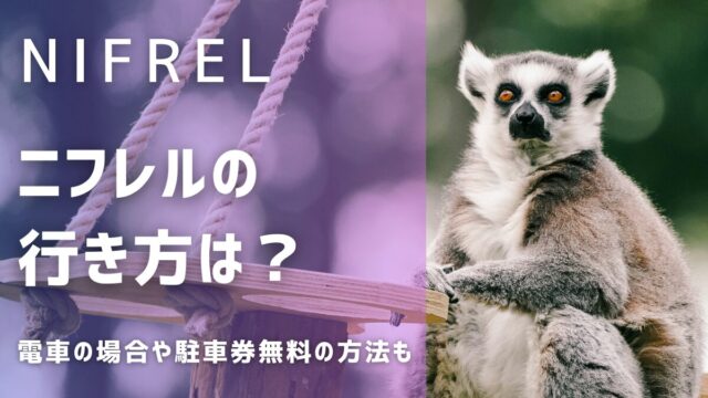 ニフレルアクセス行き方は電車が便利！駐車券を無料にする方法も