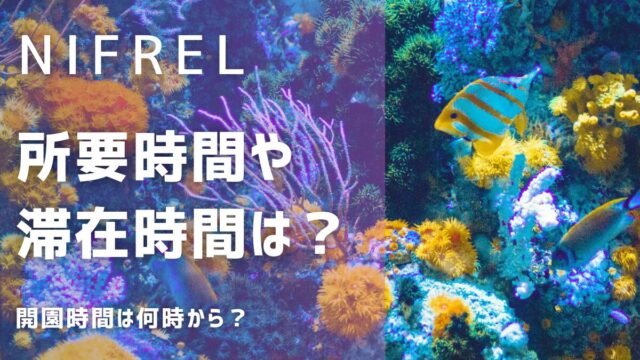 ニフレルの所要時間や滞在時間！開園時間は何時から？