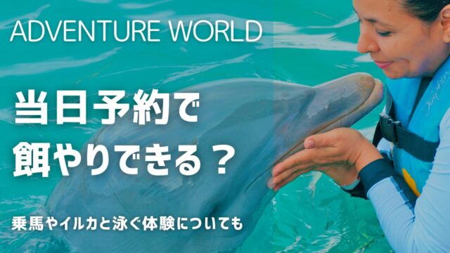 アドベンチャーワールド当日予約で餌やりや乗馬やぬいぐるみ作り体験