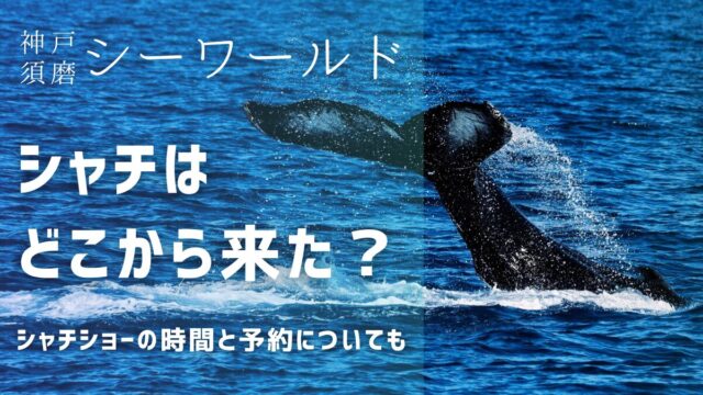 神戸須磨シーワールドのシャチはどこから来たの？シャチショーの時間と予約