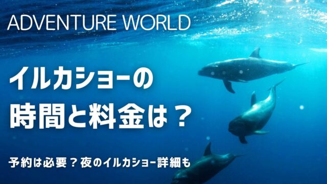 アドベンチャーワールドのイルカショー開始時間と料金！予約と夜のイルカショー