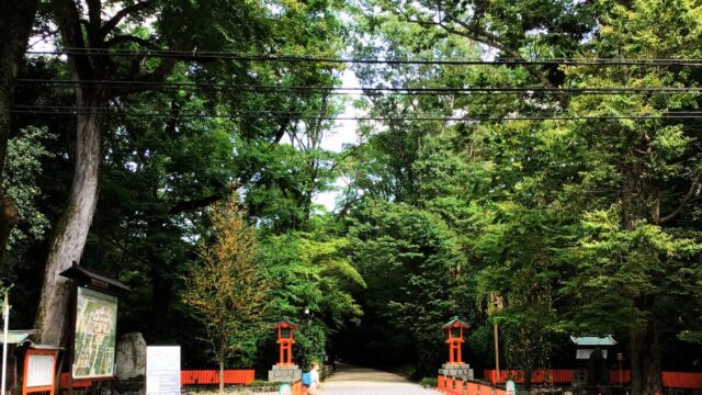 下鴨神社 糺の森