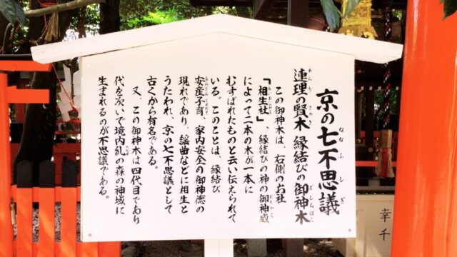 下鴨神社 連理の賢木