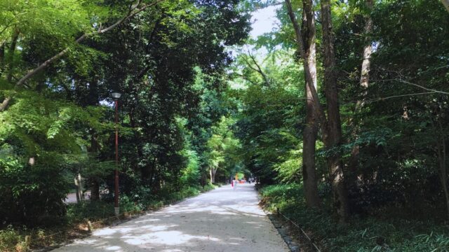 下鴨神社 糺の森