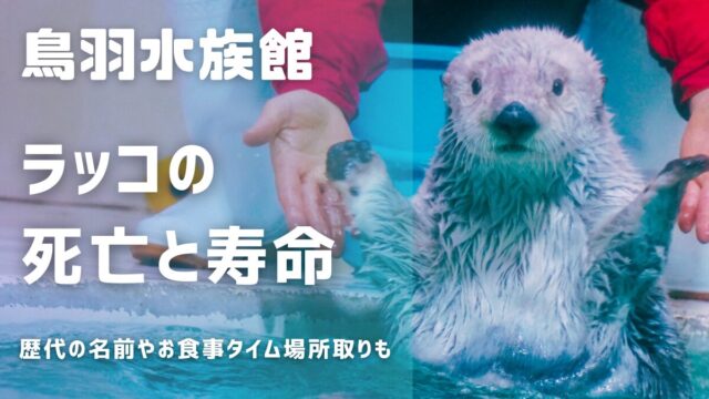 鳥羽水族館ラッコの死亡と寿命！歴代の名前と見学の場所取り