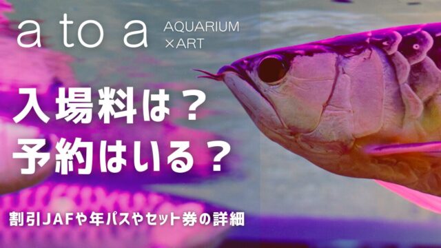 アトア神戸水族館の入場料チケット値段は？予約はいる？割引JAFや年パス詳細