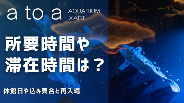 アトア神戸の所要時間や滞在時間は？休館日と再入場